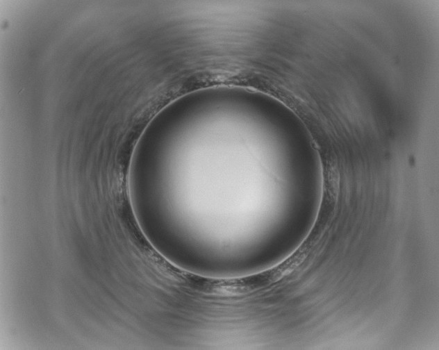 X0000070880657200606191316