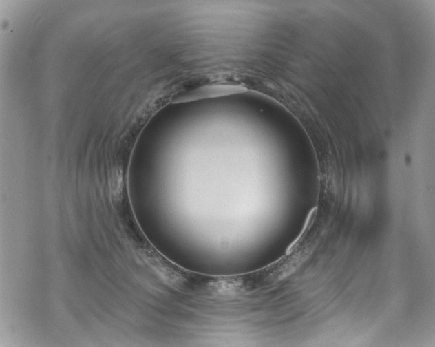 X0000070880660200606191316