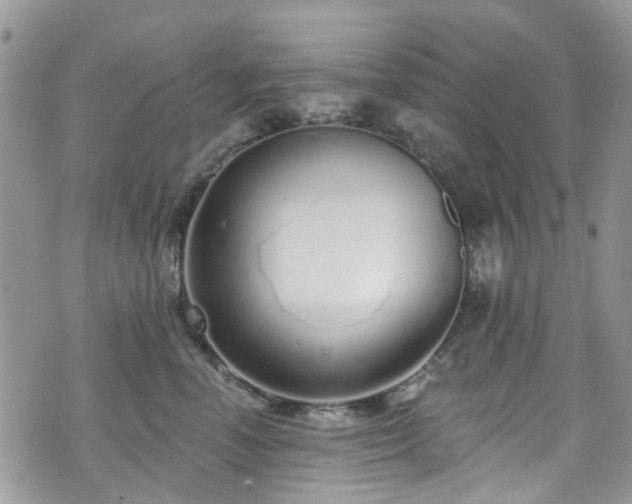 X0000070880666200606191316