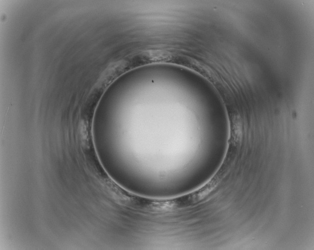 X0000070880667200606191316