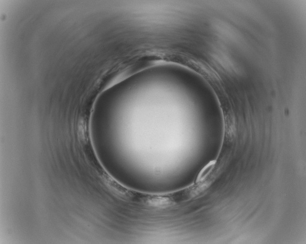 X0000070880669200606191316