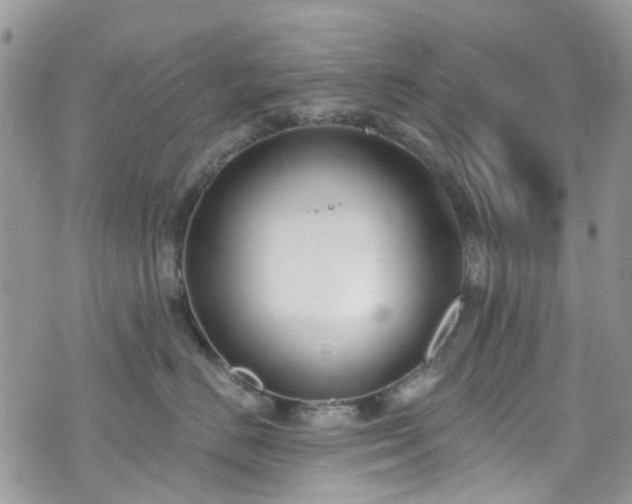 X0000070880670200606191316