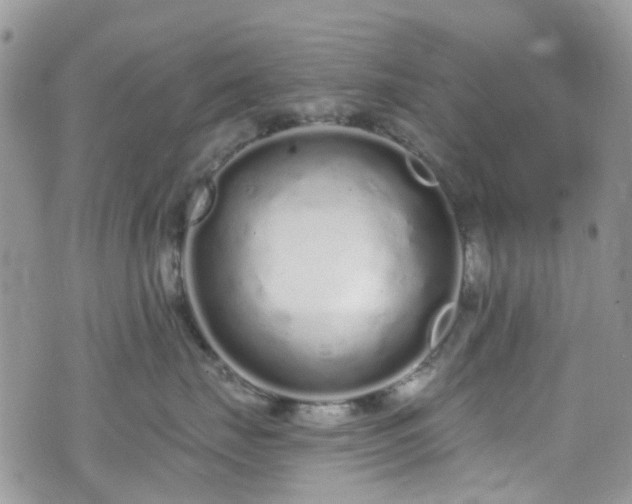 X0000070880671200606191317