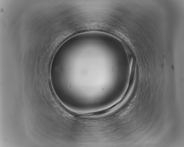 X0000070880673200606191316