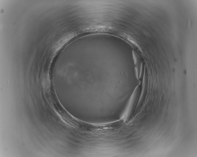 X0000070880674200606191316