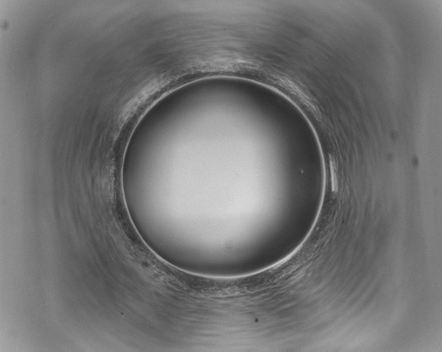 X0000070880675200606191316