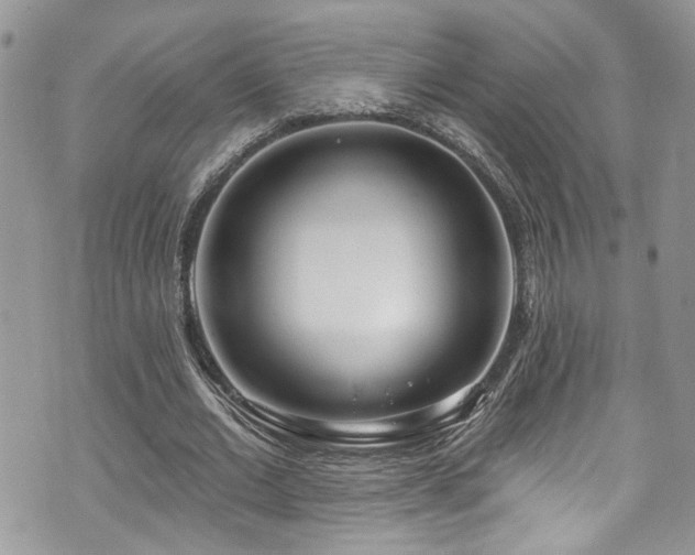 X0000070880677200606191316