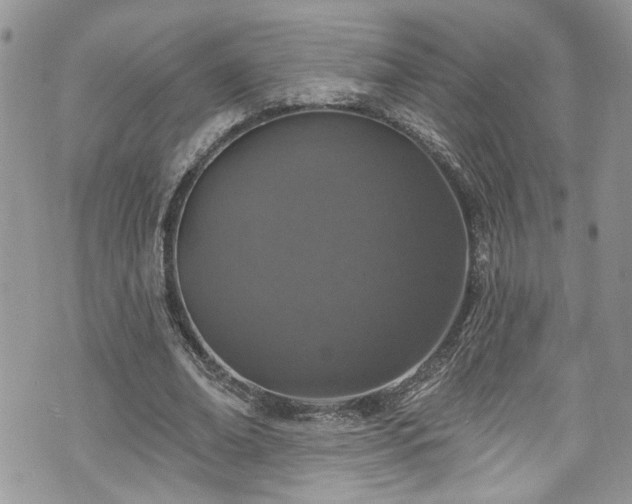 X0000070880678200606191316