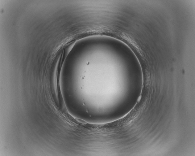 X0000070880681200606191316