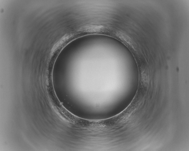 X0000070880682200606191316