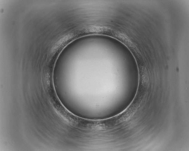 X0000070880683200606191316