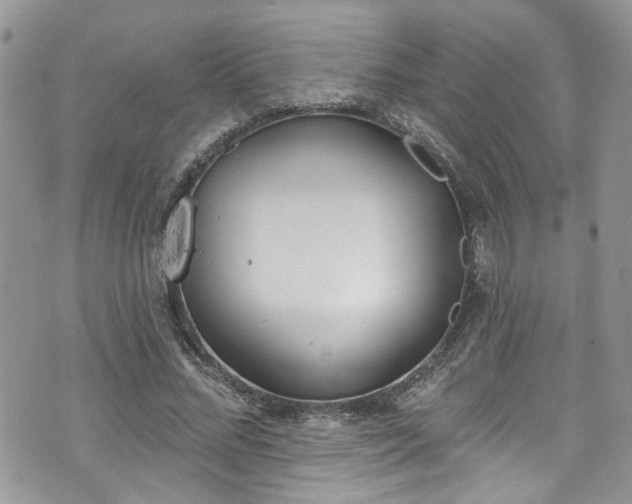 X0000070880684200606191316