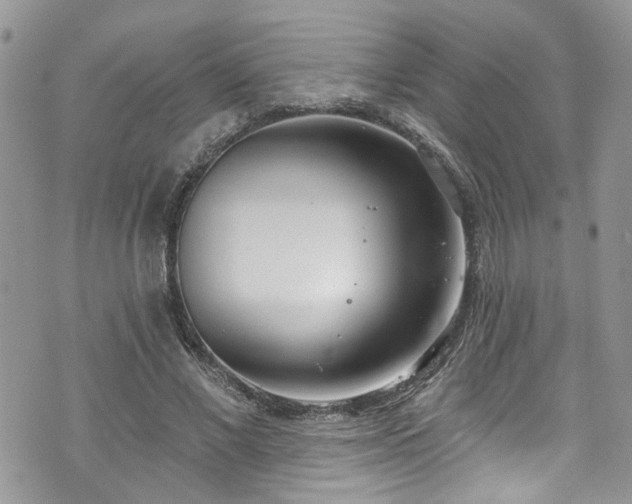 X0000070880685200606191316