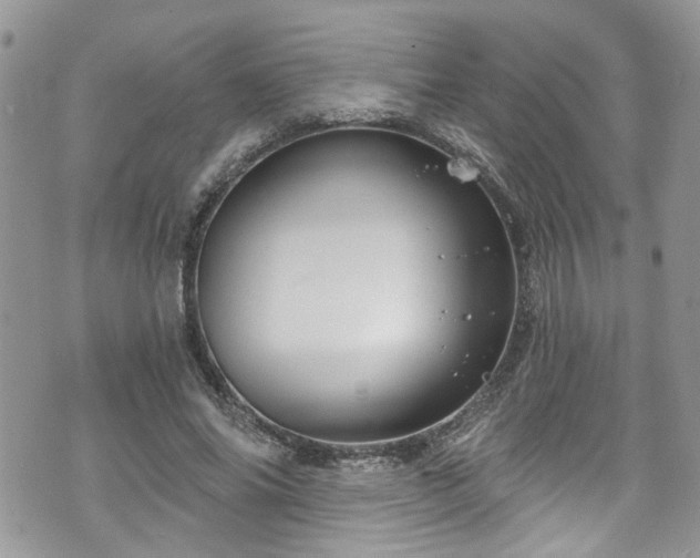 X0000070880686200606191316