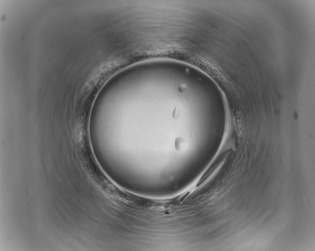 X0000070880687200606191316