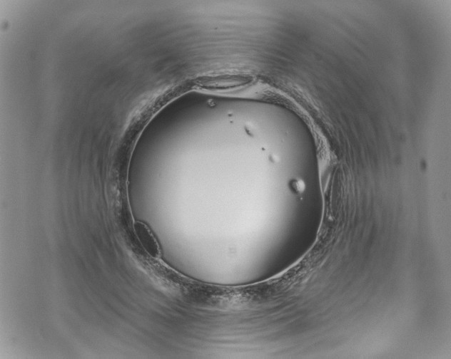 X0000070880688200606191315