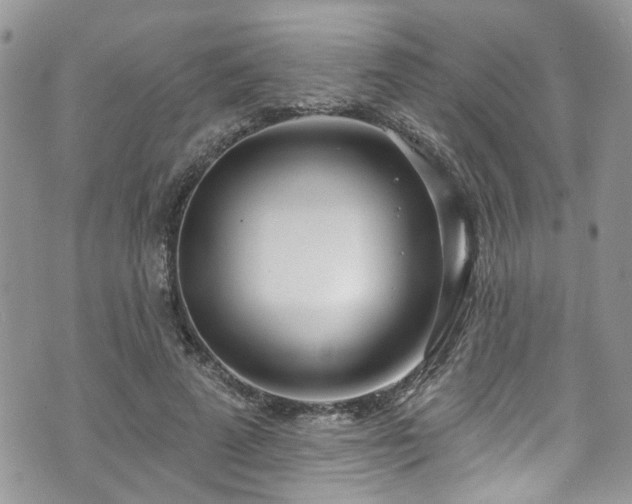 X0000070880689200606191315