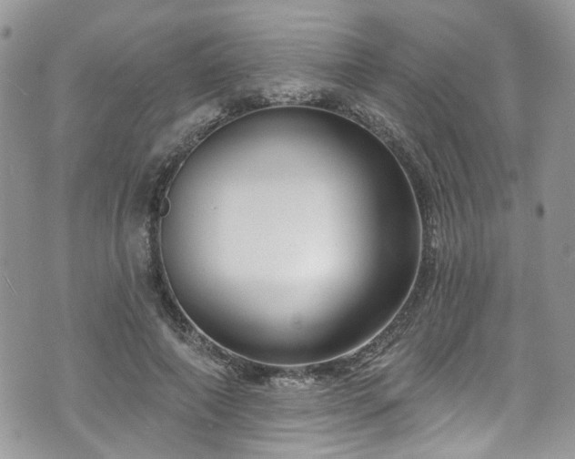 X0000070880690200606191315