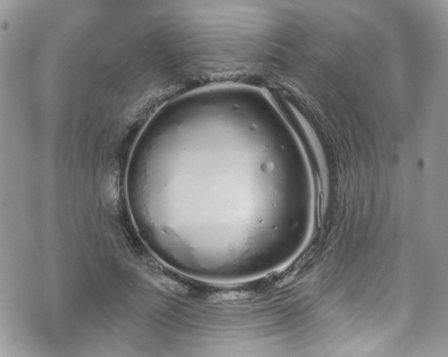 X0000070880691200606191315