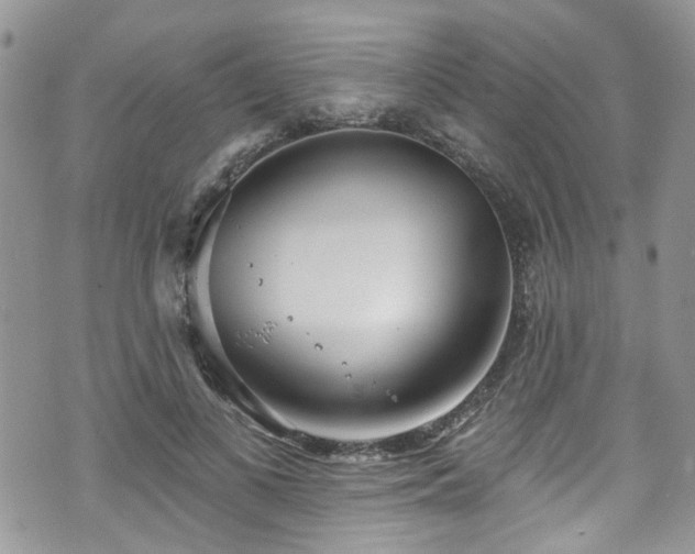 X0000070880693200606191315