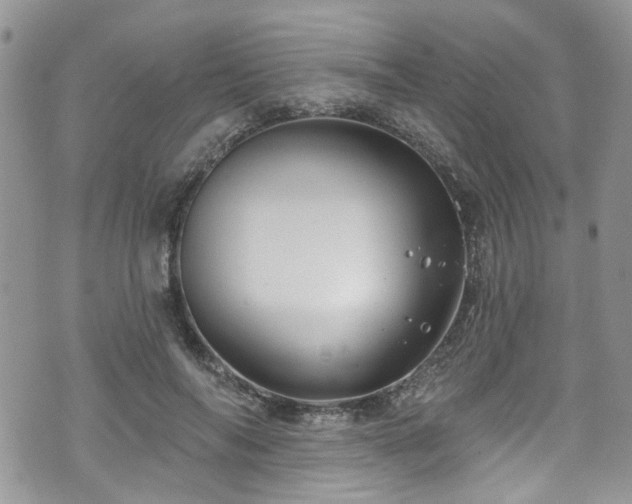 X0000070880694200606191315