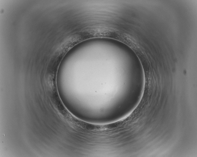 X0000070880695200606191315