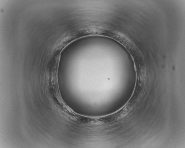 X0000070880696200606191315