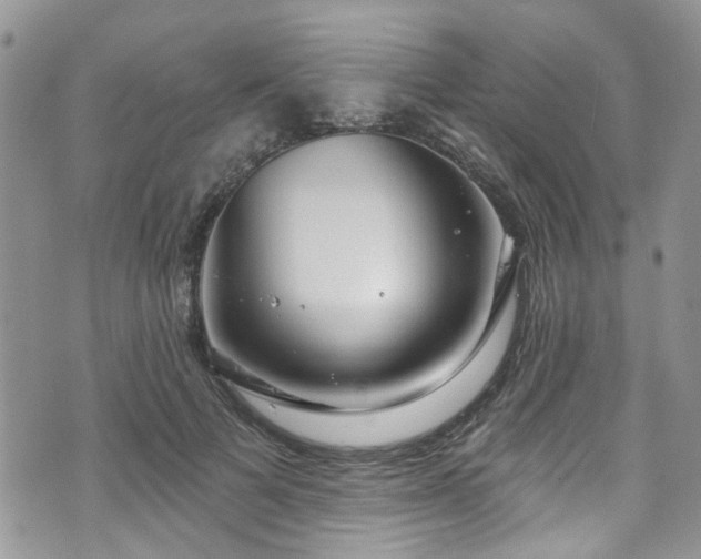 X0000070880697200606191315