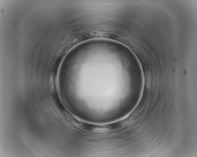 X0000070880699200606191315