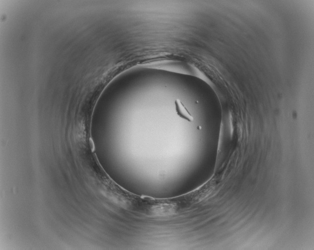 X0000070880700200606191315