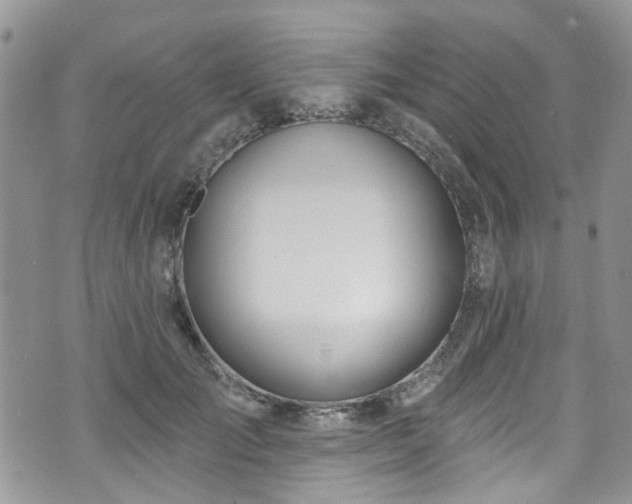 X0000070880701200606191315