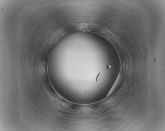 X0000070880702200606191315