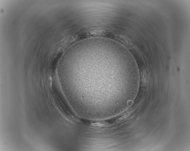 X0000070880703200606191315