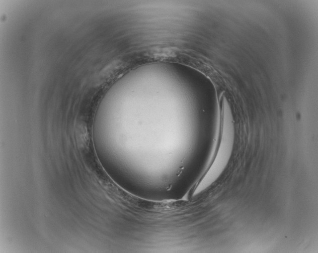 X0000070880704200606191315