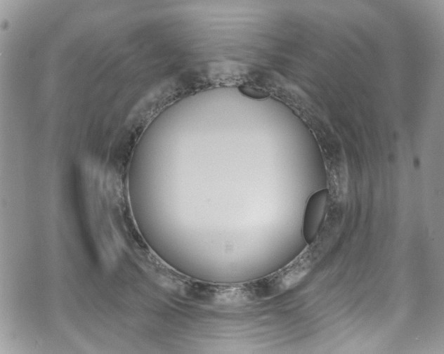 X0000070880705200606191315