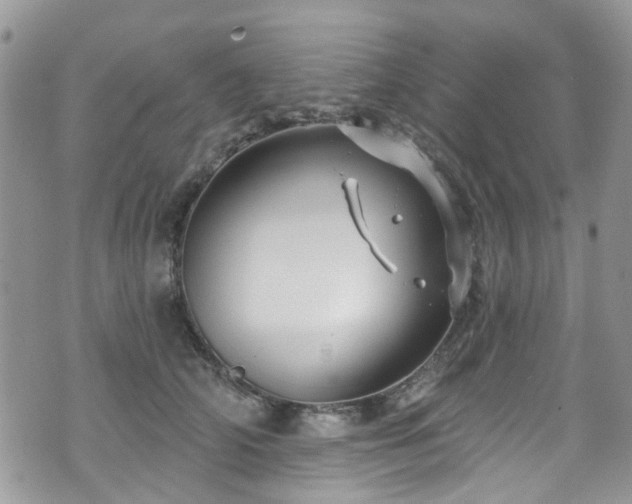 X0000070880706200606191315