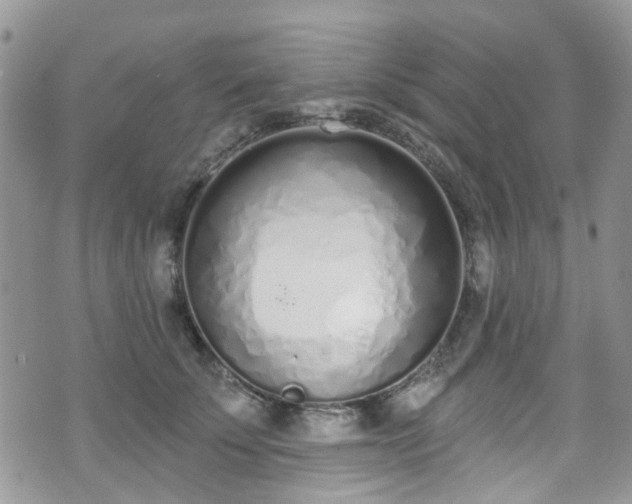 X0000070880707200606191315