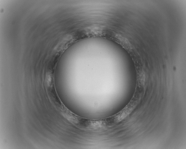 X0000070880709200606191315