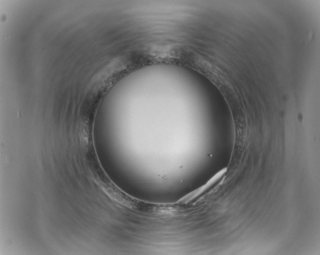 X0000070880710200606191315