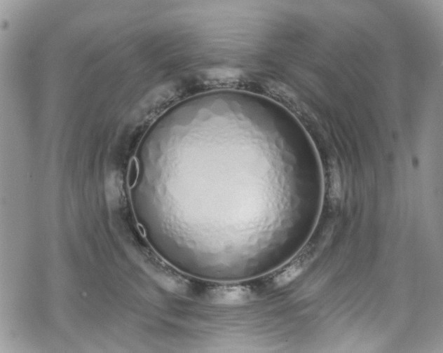 X0000070880711200606191315