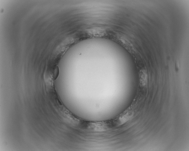 X0000070880713200606191315