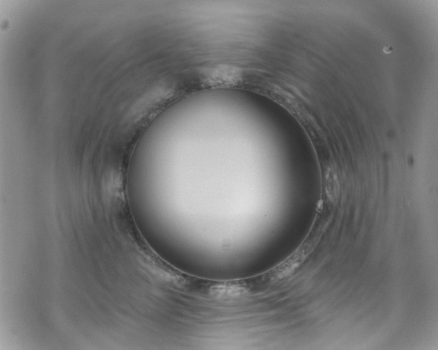 X0000070880714200606191315