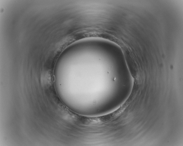 X0000070880715200606191315