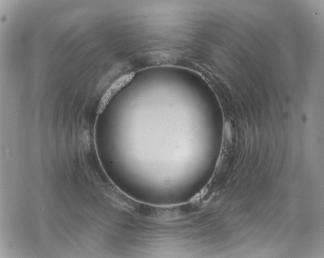 X0000070880716200606191315