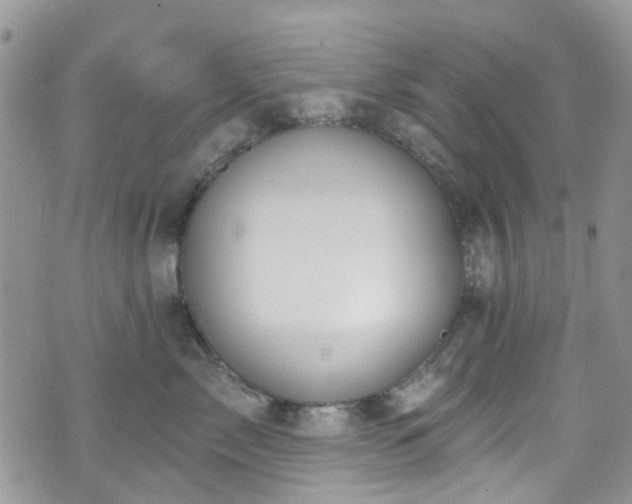 X0000070880717200606191315