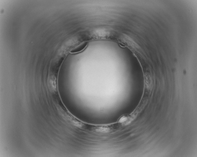 X0000070880718200606191315