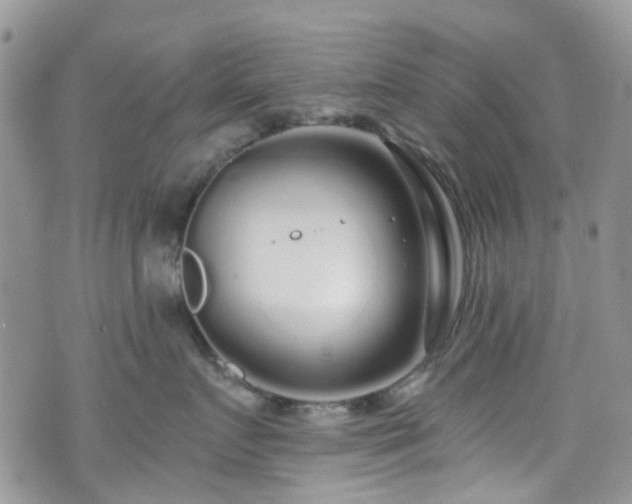 X0000070880719200606191315