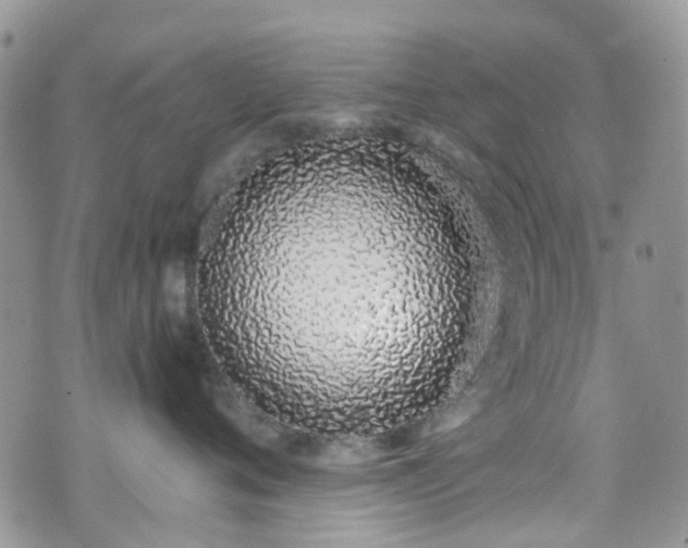 X0000070880720200606191315