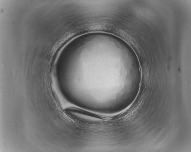 X0000070880721200606191314