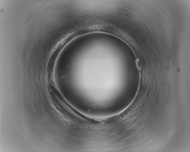 X0000070880722200606191314